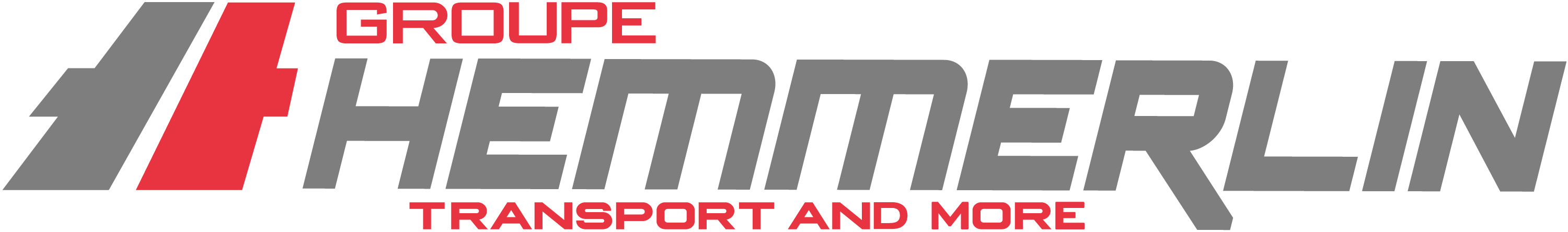 Logo de l'entreprises Groupe Hemmerlin SAS